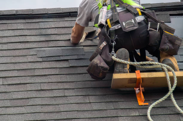 Roof Gutter Cleaning in Wayzata, MN